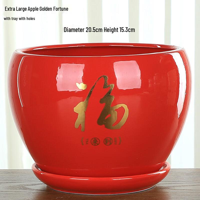 Apple-Shaped Ceramic Planter with Tray