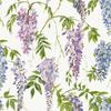 World Of Wallpaper Wisteria Wallpaper