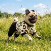 Thickened Dog Four Legged Coat Breathable All Inclusive Dog Pajamas Warm Dog Jumpsuit Outdoor Wear