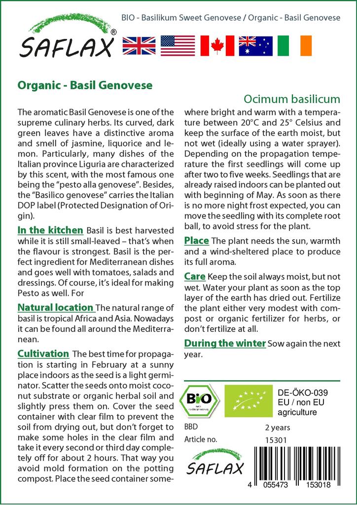 SAFLAX Сад в сумке - Органический - Базилик генуэзский - 800 семян - С субстратом в подходящей устойчивой сумке - Ocimum basilicum
