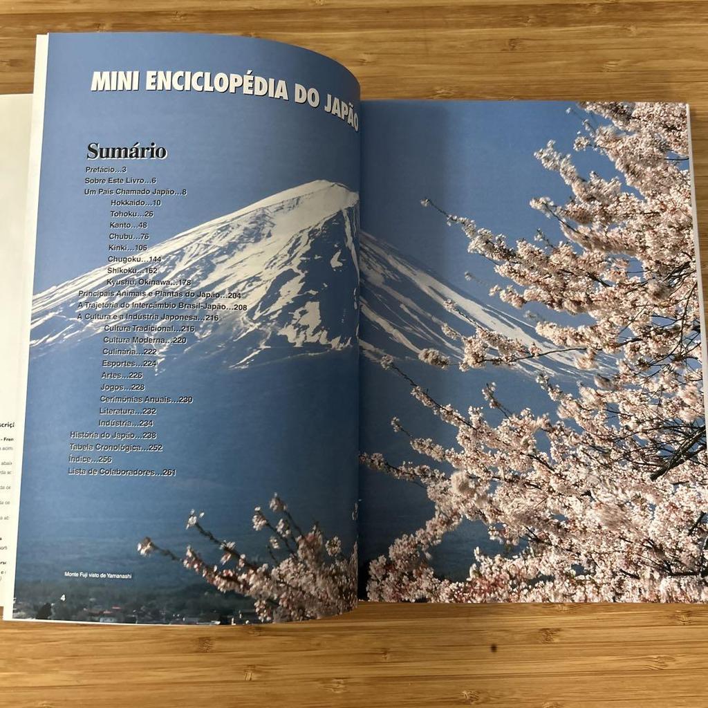 [Б/У] ЯПОНИЯ-МИНИ-ЭНЦИКЛОПЕДИЯ ЯПОНИИ [Твердый переплет]