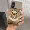 Забавный чехол для телефона с мемами про кошек для Xiaomi Poco X5 X6 X7 Pro F7 Ultra M7 Redmi 15 15C 13 13C 12 12C 10 10A 10C 9 9A 9C 9T Оболочка P