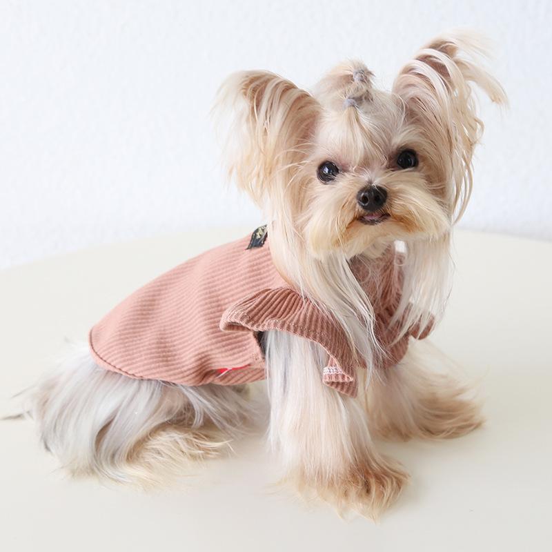 Petstyle 2024 Осень/Зима Рубашка с высоким воротником в рубчик с лацканами и рукавами-крылышками с кошачьим принтом