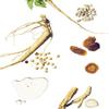 Beauty of Joseon Revive Serum Ginseng+Snail Mucin 30ml