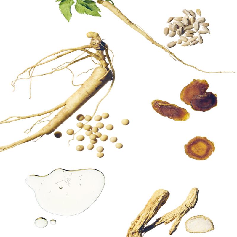 Beauty of Joseon Revive Serum Ginseng+Snail Mucin 30ml