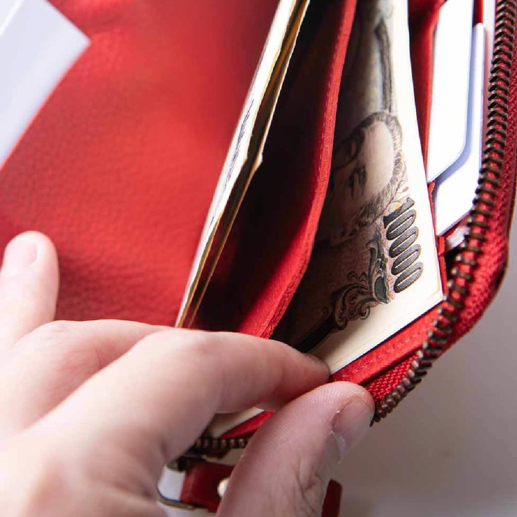 Wallet TIDY Long Wallet Elegant Simple Soft Large Capacity Zipper Small Skimming Prevention Genuine Leather Slim Going Out Compact Present Women