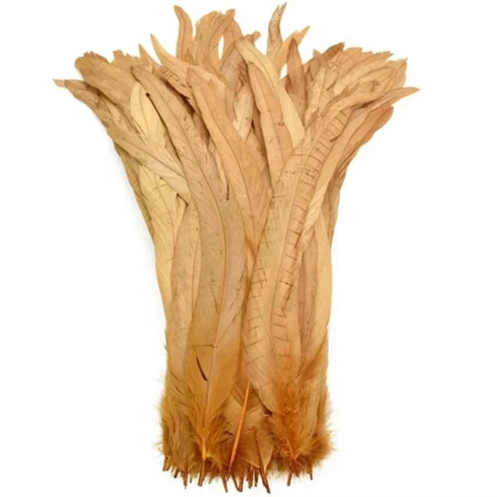 20Pcs Decorative Feather Plumes Natural Rooster Feathers Costume Feathers Costume Accessories
