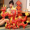Chinese Dragon Zodiac Drago Plush Toys Zodiac Dragon Dragon Year Mascot Doll Home