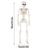 Skeleton Halloween Decorations Life Body Anatomy Model Lifelike Skeleton Model for Haunted Houses Cemeteries