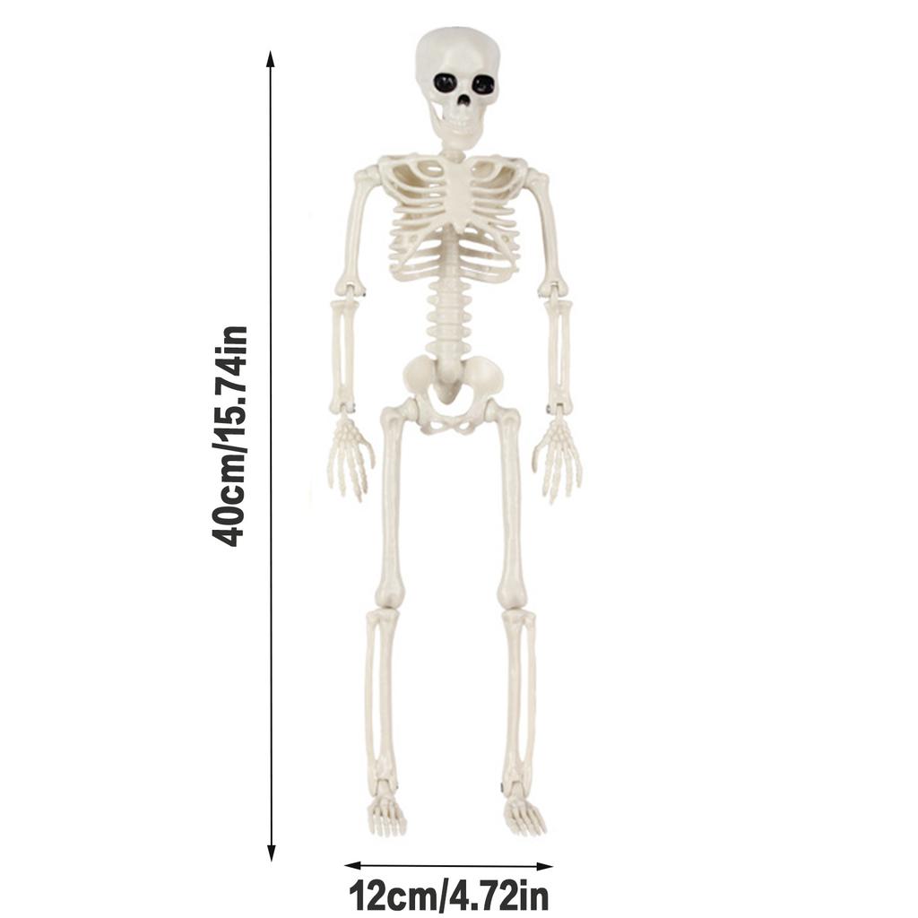Skeleton Halloween Decorations Life Body Anatomy Model Lifelike Skeleton Model for Haunted Houses Cemeteries
