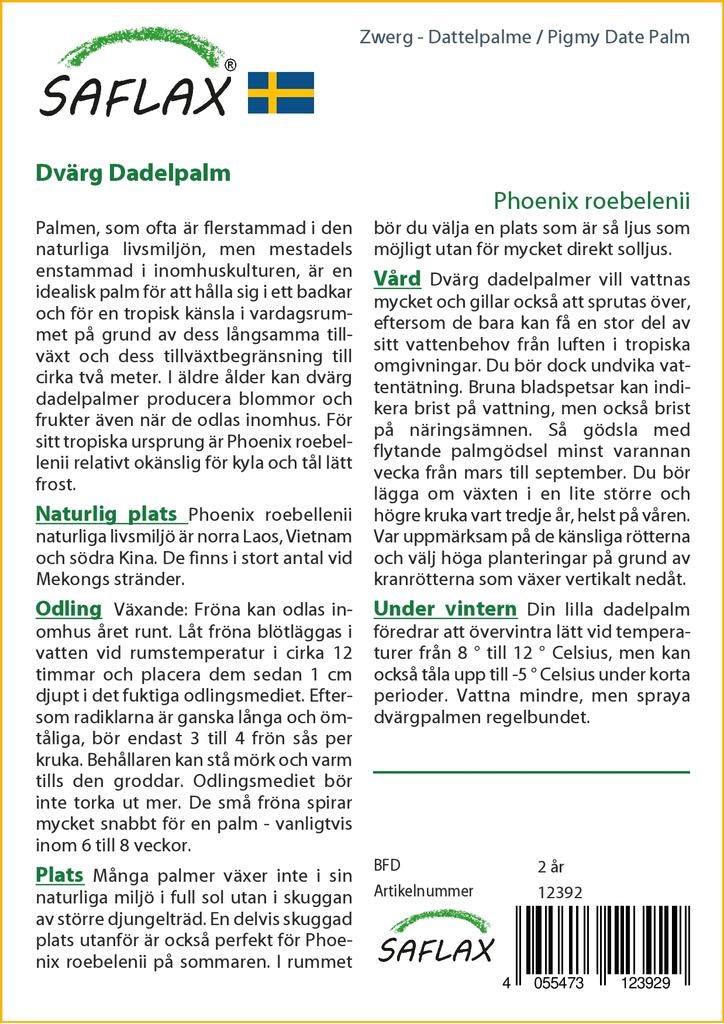 SAFLAX Финиковая пальма пигмейская - 25 семян - Phoenix roebelenii