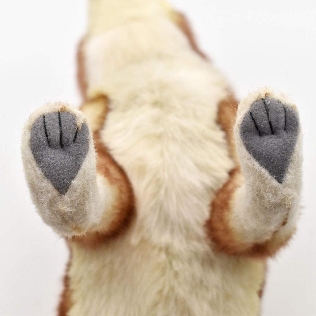 BH5207 HANSA Койот 35