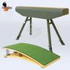 Iron Fox Gymnastics Vaulting Horse & Springboard Set