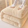 Thickened Taffeta Milk Velvet Winter Duvet