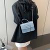 Chic Minimalist Crossbody Bag Stylish Casual Square Bag 2024 Spring Trendy Women's Shoulder Bag