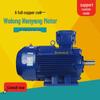 Wolong Nanyang YBX3-H Low-Voltage Marine Explosion-Proof Three-Phase Asynchronous Motor