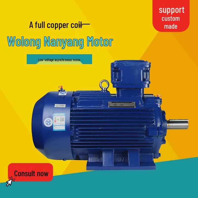 Wolong Nanyang YBX3-H Low-Voltage Marine Explosion-Proof Three-Phase Asynchronous Motor