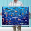 The Access Poster Deep Sea Encyclopedia A1 Animal Aquarium