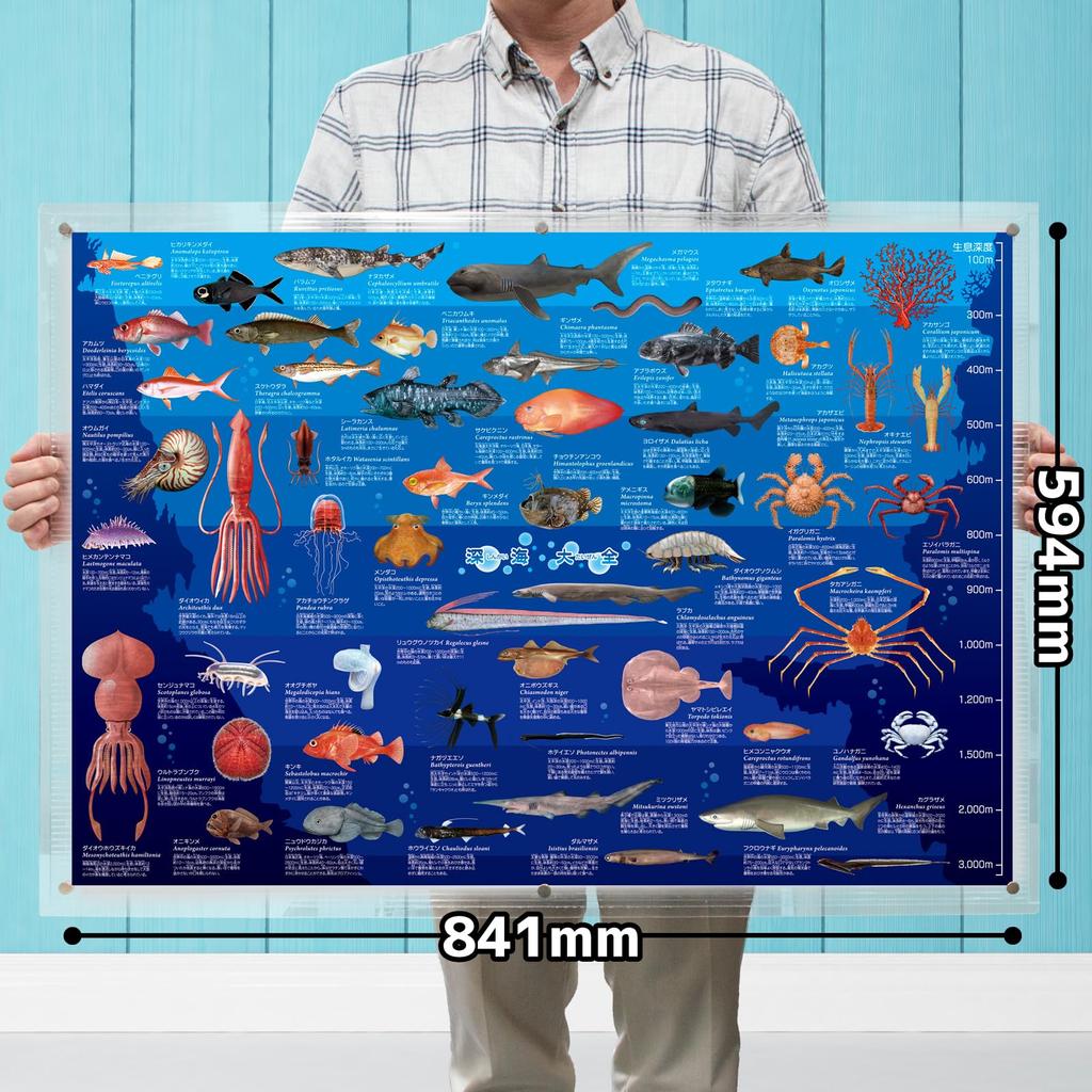 The Access Poster Deep Sea Encyclopedia A1 Animal Aquarium