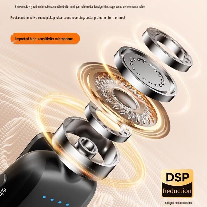 Newmine U-258 Portable Wireless Voice Amplifier with Lavalier Mic CN plug (adapter included)