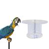 Bird Protective Bead Parrot Collar Anti Feather Picking Ring Anti-Plucking Anti-Grab Collars Elizabethan Collar for Rodents Bird