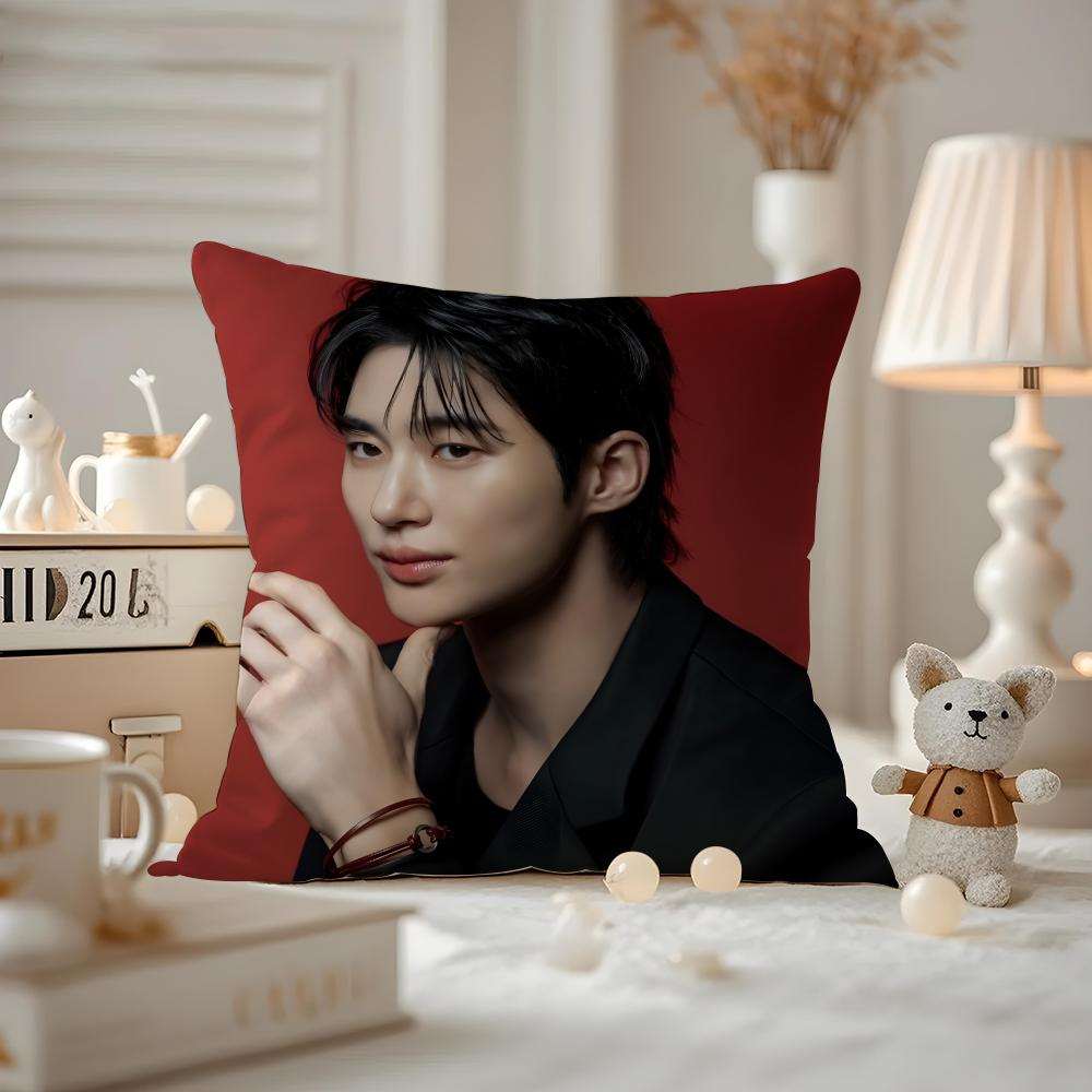 Чехол для подушки с принтом узора Byeon Wooseok Наволочка для подушки на диван в гостиной и декор спальни