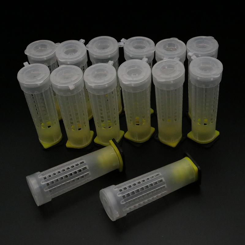 200PCS Wholesale Queen Rearing Cup Kit Beekeeping Tools Equipment Plastic Bee Larva Protection Cover Catcher Cage Supplies