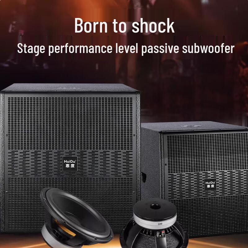 Professional Indoor/Outdoor Stage Subwoofer DA-218