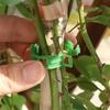 100/1Pcs Plastic Plant Support Clips Reusable Garden Vegetable Tomato Vines Upright Twine Plant Fixed Clips Holder Grafting Fixing Tools