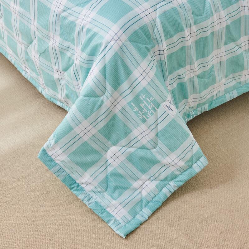 Jie Li Ya Bamboo Pattern Summer Fiber Comforter