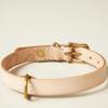 We Original All Leather Collar Natural GOOD MANNERS DOG SERIES - (L) /