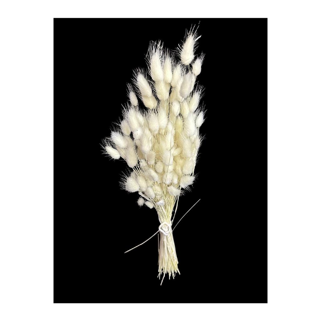 Натуральная сушеная хлопчатник, кроличий хвост, свадебный букет, композиция из цветов лагуруса, 30 веток