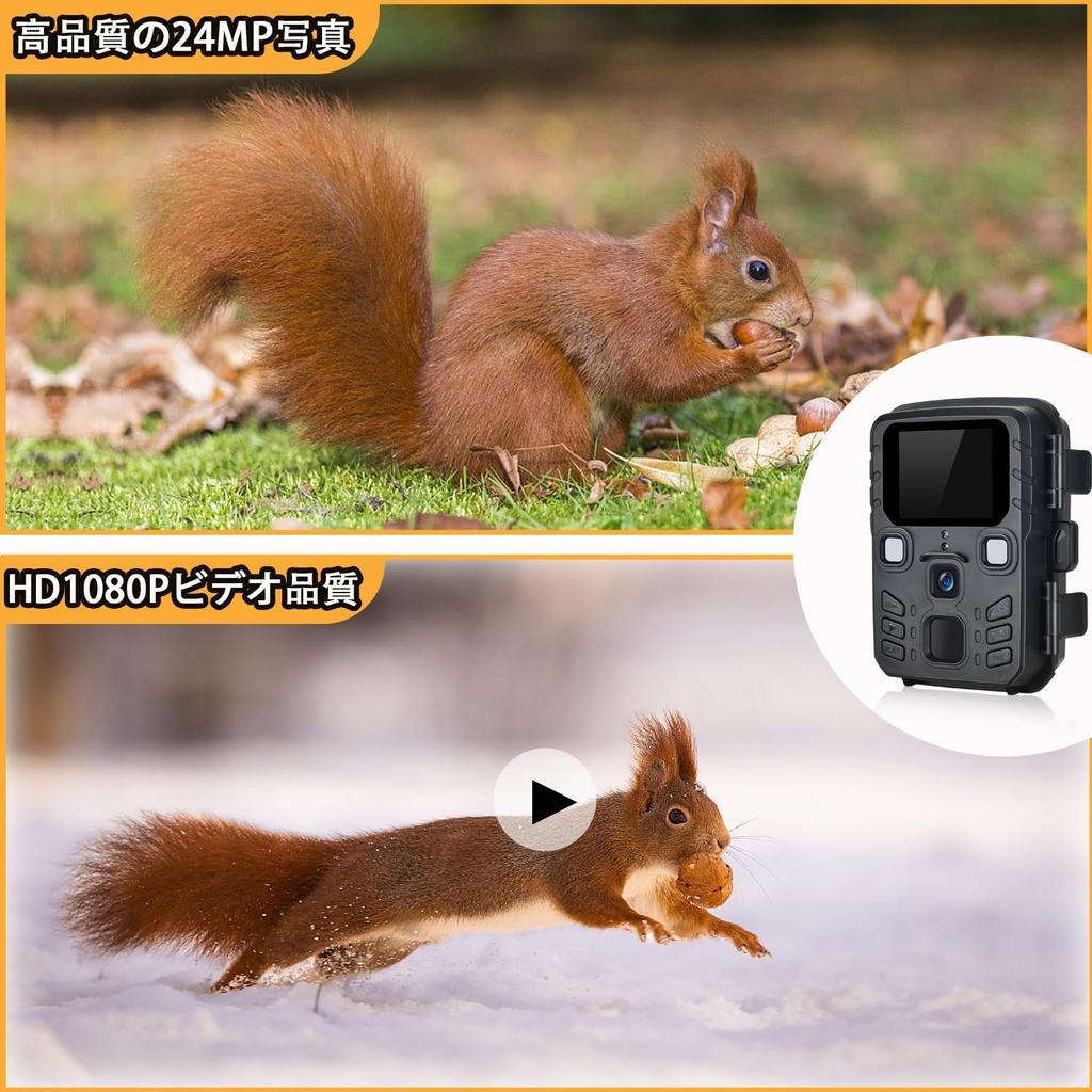 SUNTEK Security Trail Battery Motion Detection Compatible with 1080P Outdoor Surveillance Infrared LED Night Vision Seconds Human Automatic Overwrite