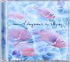 CD SKYRAY - Mind Lagoons OCH011LXCD Ochre Records 1999 Великобритания Танцевальная и электронная музыка Б/у