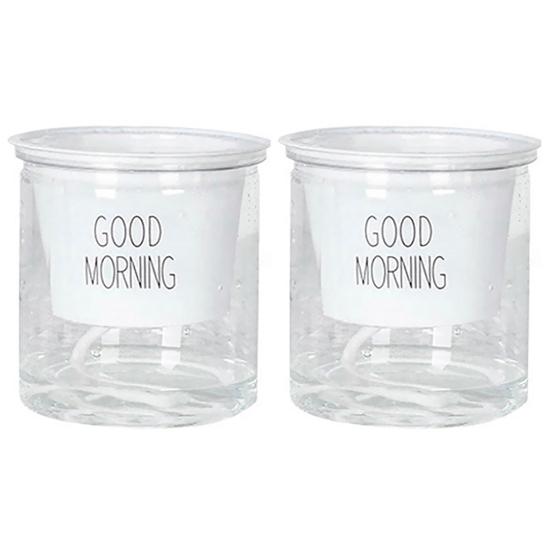 2 комплекта двухуровневого гидропонного Epipremnum Aureum самополивающегося цветочного горшка для домашнего декора