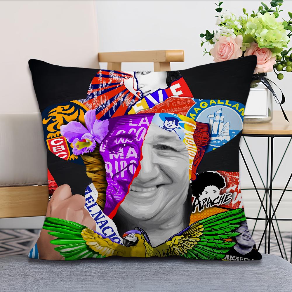 Aesthetic Art Venezuela Cushion Cover Soft Comfortable Pillow Case for Sofa Living Room Home Office Decor Protective Covers