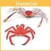 Высокодетализированная статическая модель камчатского краба и краба-паука для развивающей игры детей