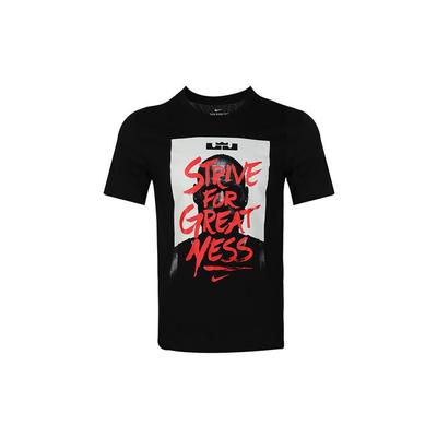 Мужская быстросохнущая баскетбольная футболка с графическим принтом LeBron James, черные CW5336-010