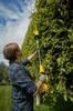 Battery Pole Hedge Trimmer 45Cm V20 18V 1*4.0Ah - S/Sfmcph845M