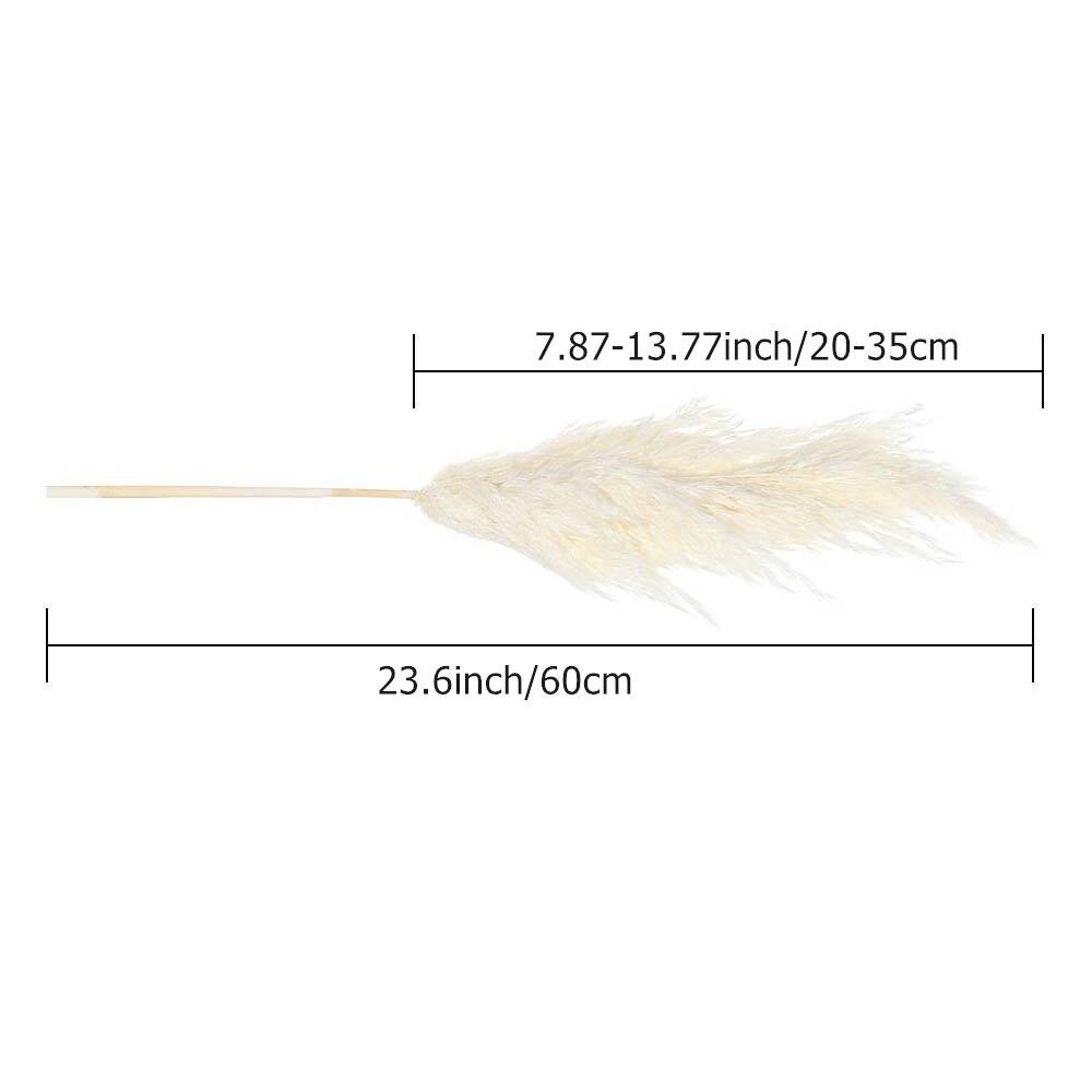 5/10/20 шт., белый тростник, пампасная трава, колосья пшеницы, кроличий хвост, трава, натуральные сушеные цветы, букет, свадебное украшение, сено для вечеринки, богемный дом