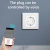 WiFi Connected Socket 16A Adapter Plug Compatible with Alexa 2.4G WiFi Socket with Timer and Countdown Function for Home