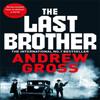 The Last Brother by Andrew Gross Paperback Book 9781509878390