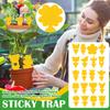 Sticky Insect Board Insect Double-sided Yellow Board Insect