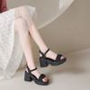 Fairy Style Thick Soled Sandals for Women Wearing Summer  New Thick Heels with Fashionable Beach Shoes
