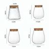 Thick Vase Rack Glass Material Water Cultivation Vase Flower Arrangement Vase  Home Decoration