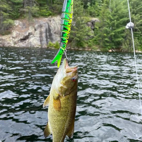 13.5CM/19G Multi-Jointed Fishing Lure with Hooks Slow Sinking 8-Section Swimbait Bionic Hard Artificial Bait Freshwater Saltwater Fishing Accessories