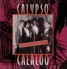 CD VARIOUS - Calypso Calaloo 1105 Rounder Records 1993 US Folk Used