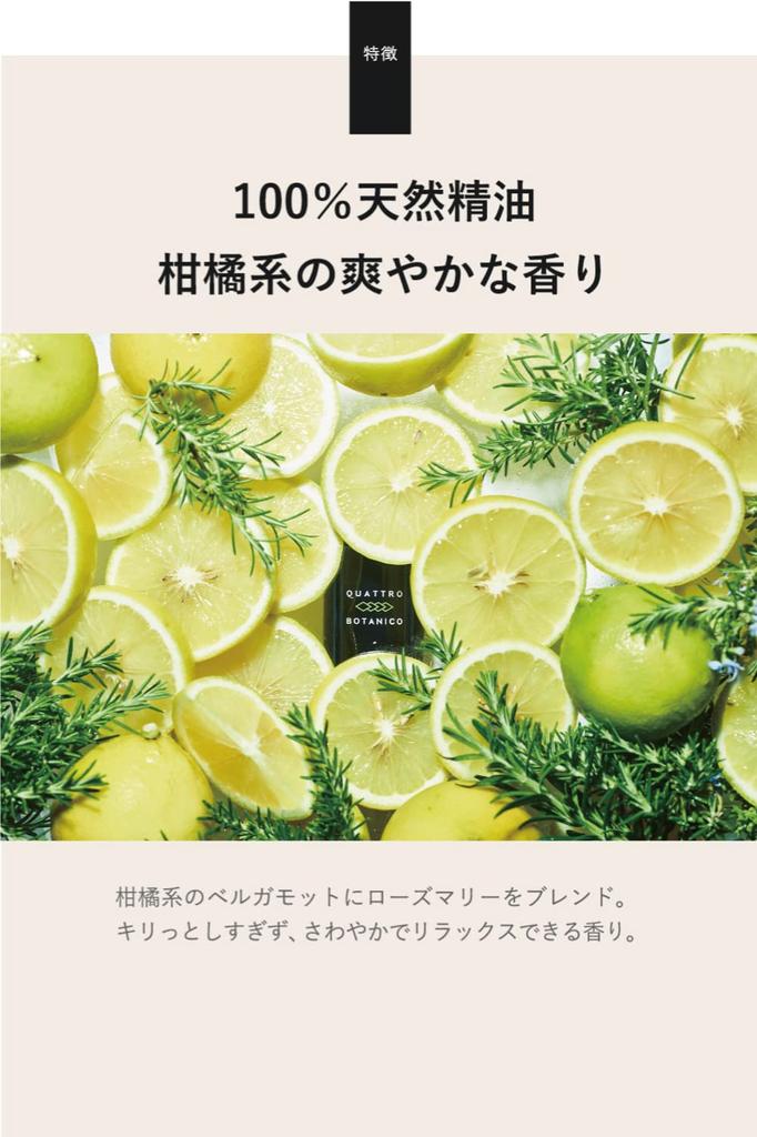 Quattro Botanico Present Shampoo Body Wash Set with Gift Wrapping Scalp Shampoo 300mL Body Wash 300mL Gift Set Body Soap Dry Dry Skin Sensitive Skin