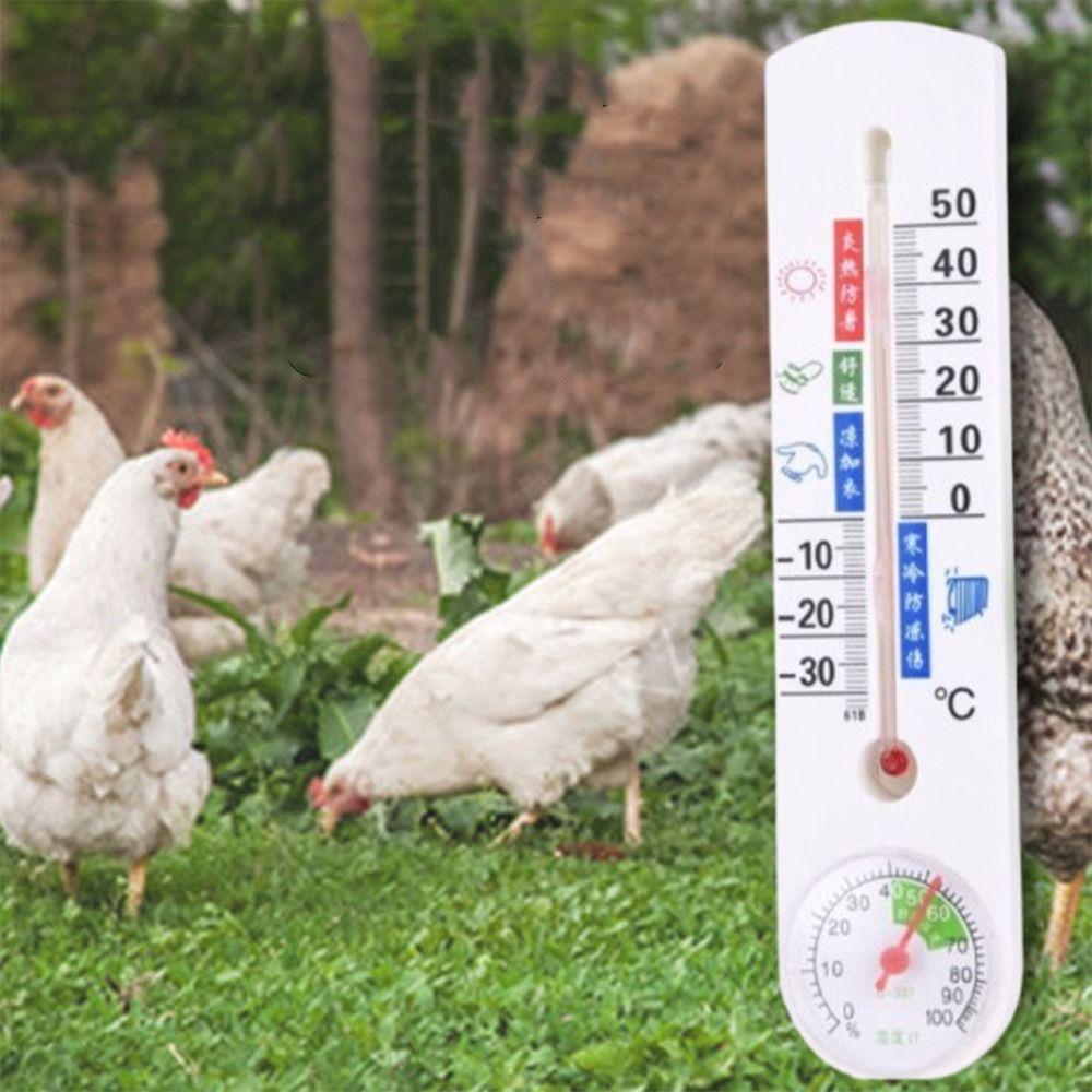 Высокоточный гигрометр Настенный термометр Прочный измеритель влажности Террариум