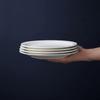 ZHISHI 10.25-inch Ceramic Flat Dinner Plates (4-Pack)
